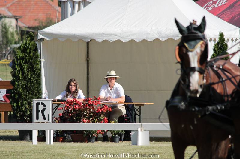 Izsák 2016: dressage