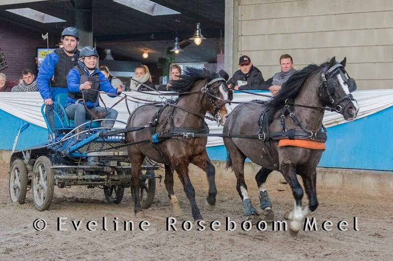 Indoor Houten 2018