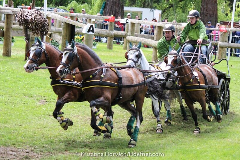 Belgische Bewerber für die Pony-WM ermittelt