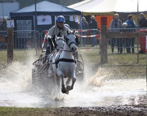 Menners gehuldigd in het Drentse Aa en Hunze