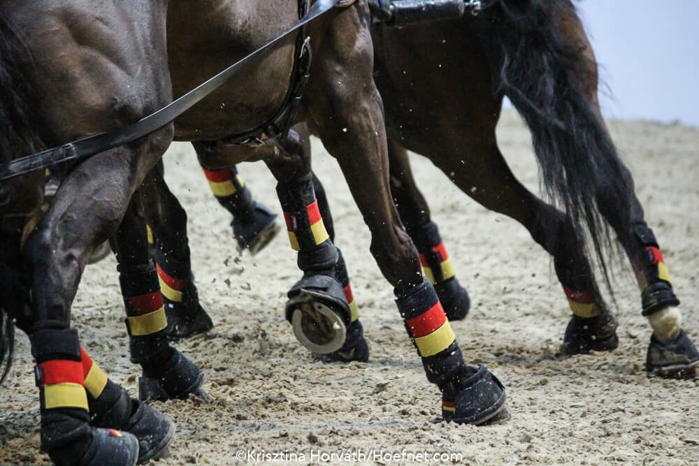 Erstmals wieder Fahrsport in der Frankfurter Festhalle