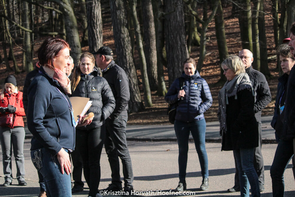 Gothenburg 2017: site visit FEI European Four-in-Hand Championships