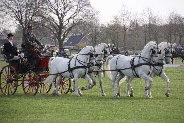 José Riche ends active Carriage Driving career