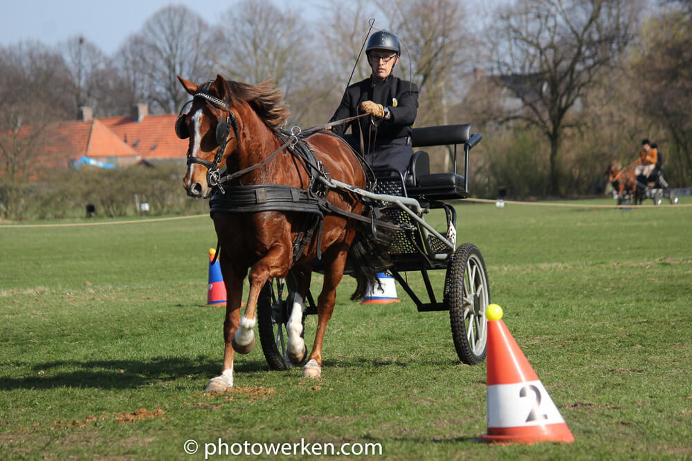 Dressuur/vaardigheid Heesch 2017