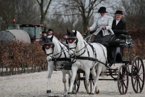 Exloo 2017: dressage Thursday