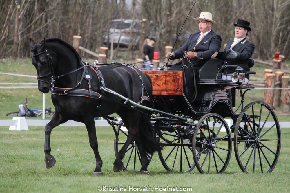 Exloo 2017: dressage Friday