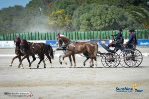 Vejer de la Frontera 2017: Impression