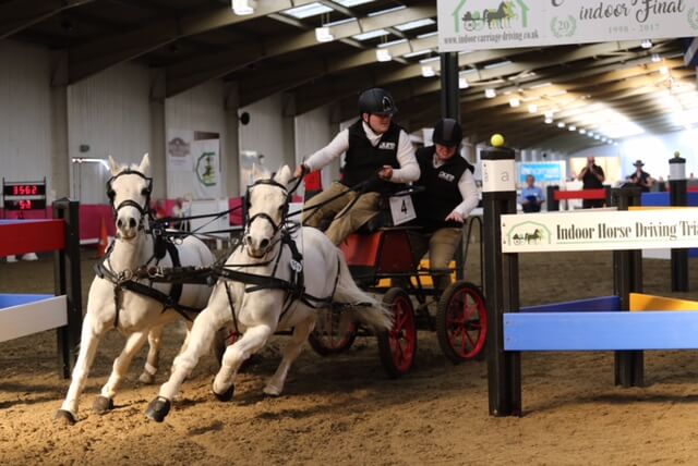 Hot competition at the British Indoor Carriage Driving Finals