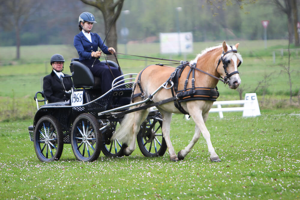 SWM Heukelom 2017