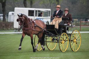 Horst 2017: dressage Friday