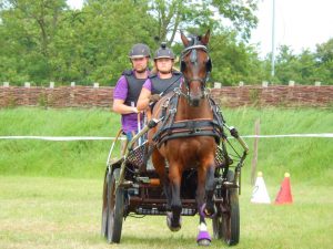 Fok- en Menvereniging Schouwen Duiveland viert jubileum met impulsmarathon