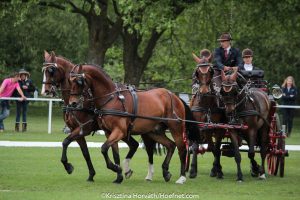 Windsor 2017: dressage Thursday