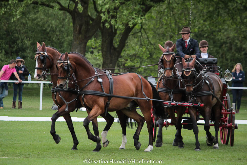 Windsor 2017: dressuur donderdag