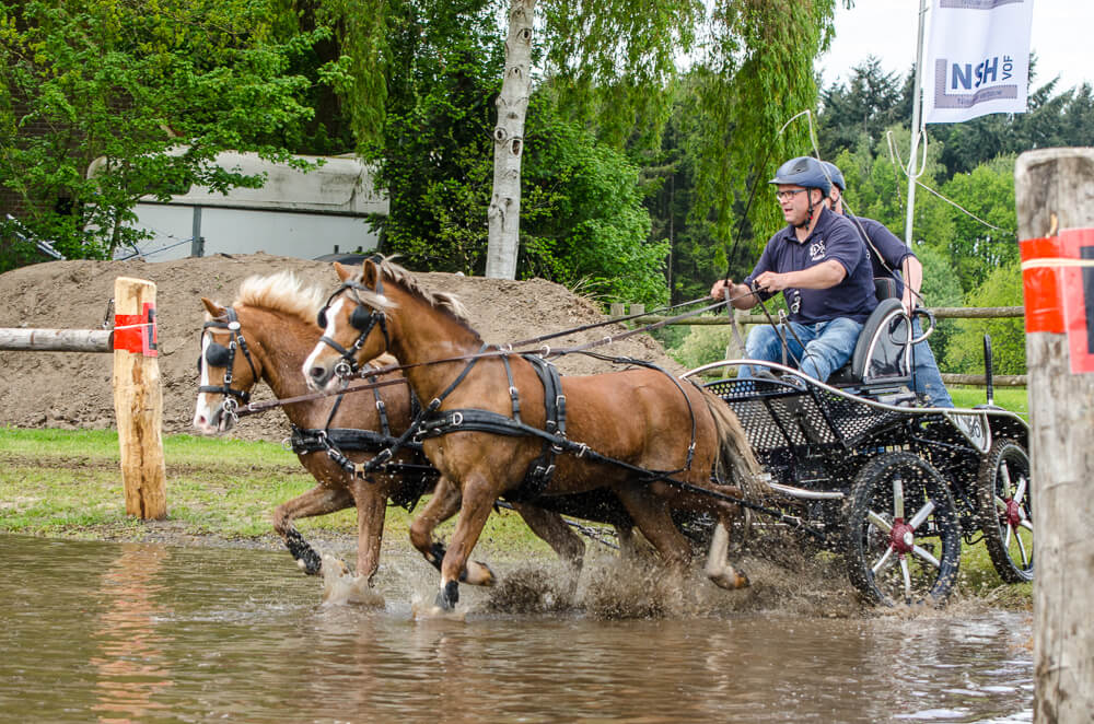 SWM Rijssen 2017