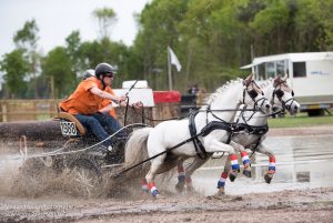 Paard in the picture: Mr. Jim