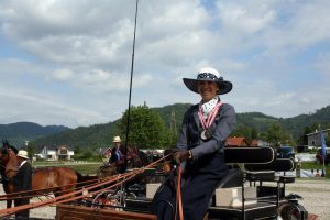Austrian Pony Single and Pair Championships Viechtwang