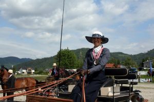 Österreichische Meister Ein- und Zweispänner Pony gekürt