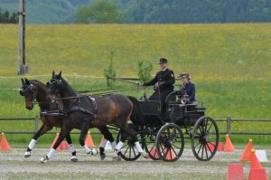 Viechtwang 2017: akadályhajtás