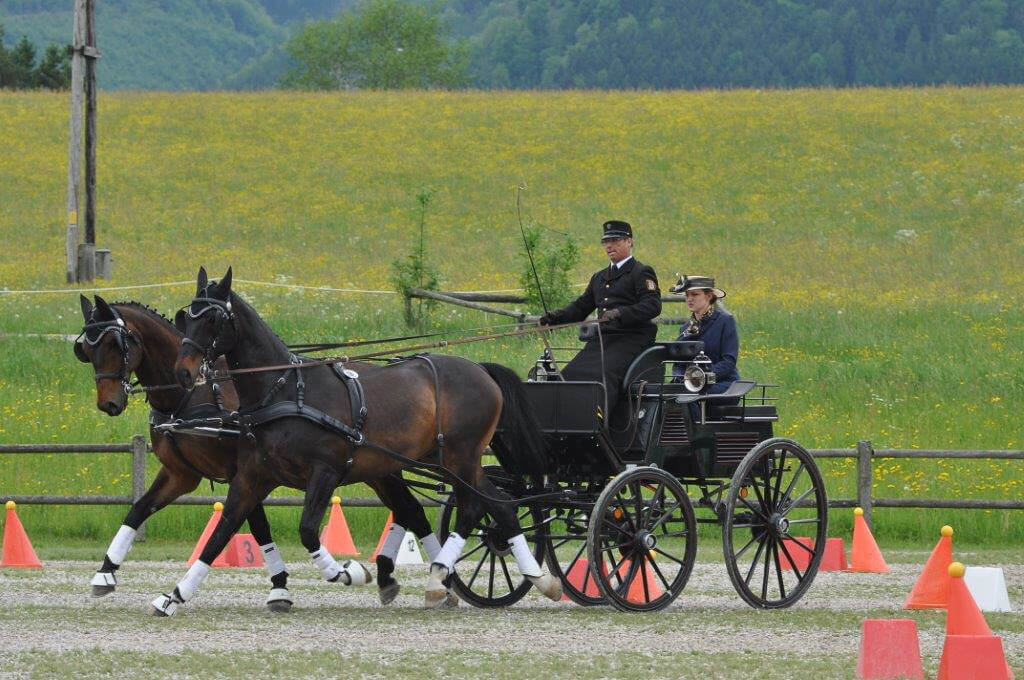 Viechtwang 2017: vaardigheid