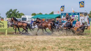 Eeuwfeest F&M Schouwen Duiveland groot succes