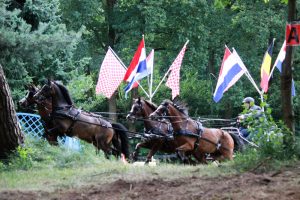 Impulsmarathon van de De Coovelse Menners in Nuenen