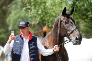 Saumur 2017: horse inspection