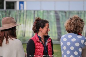 Valkenswaard 2017: horse inspection