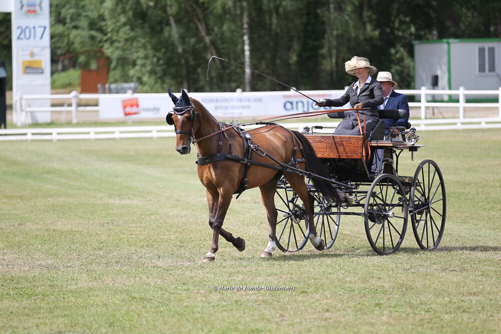 Saumur 2017: dressuur