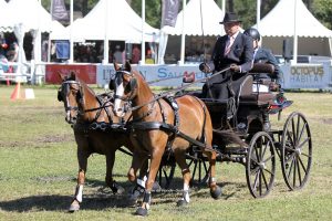 Saumur 2017: cones