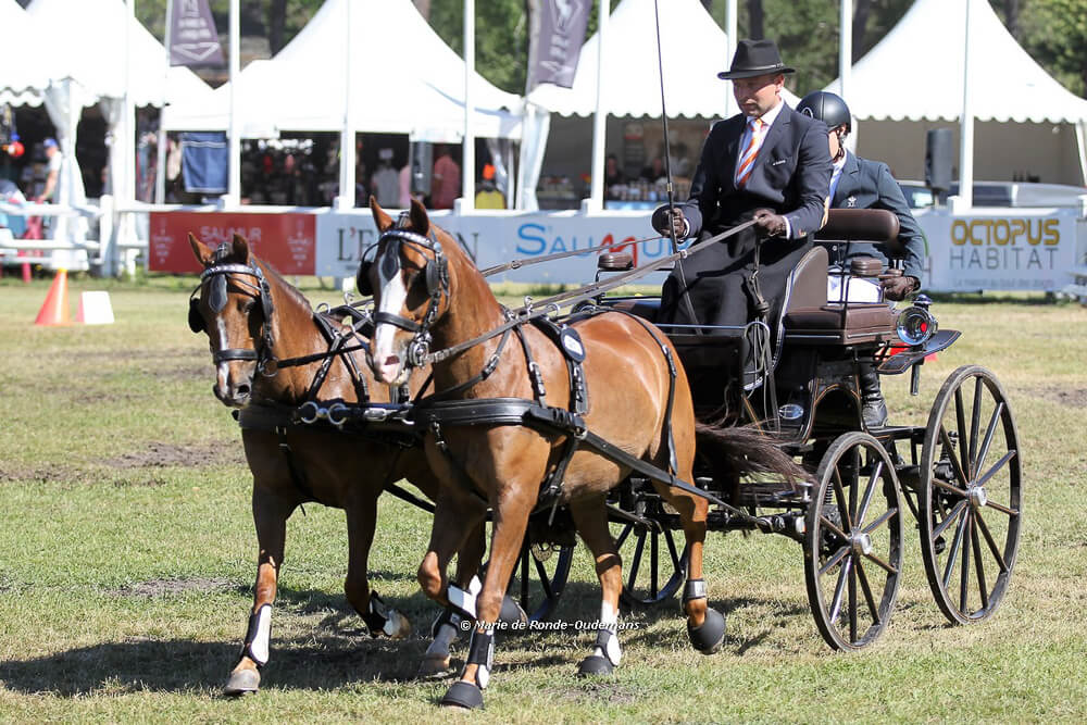 Saumur 2017: vaardigheid