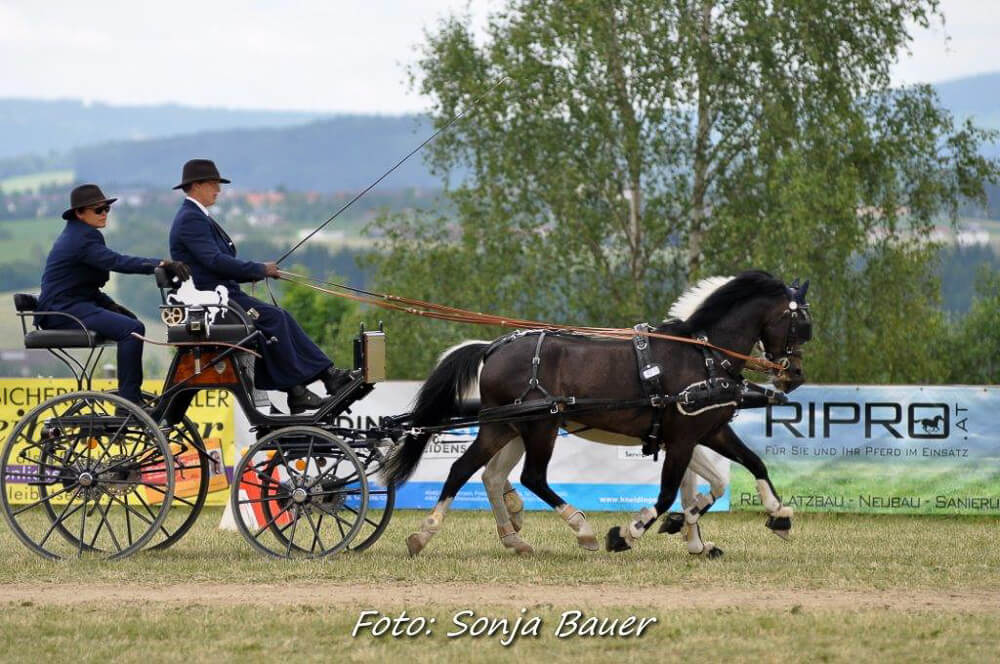 Altenfelden 2017: vaardigheid