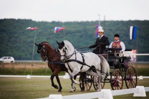 Pleternica 2017: dressage