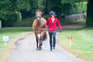Sandringham 2017: horse inspection
