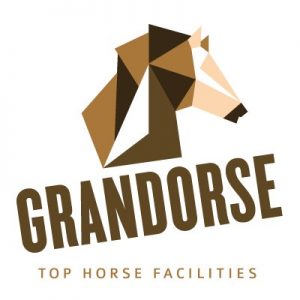 Vrije hindernistraining bij Grandorse Kronenberg