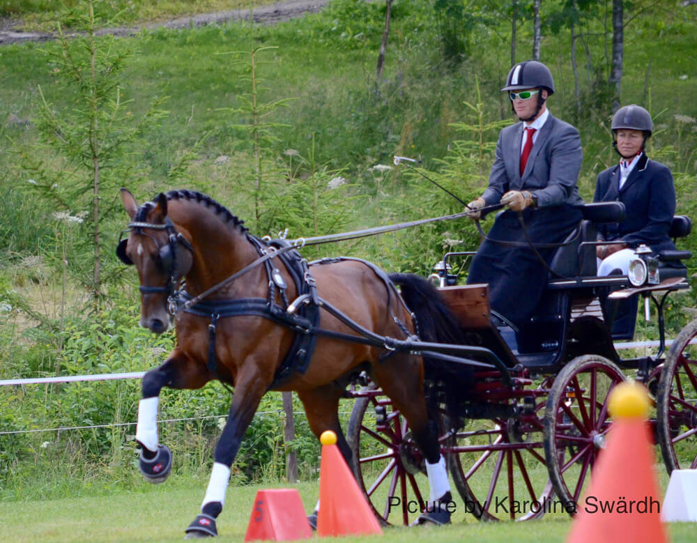 Sipoo 2017: vaardigheid & prijsuitreiking