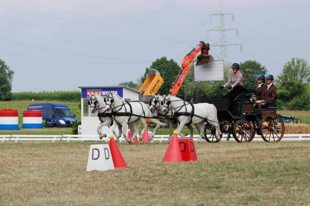 NK & SWM Hulsberg 2017: vaardigheid & prijsuitreiking