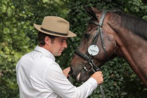 Beesd 2017: horse inspection