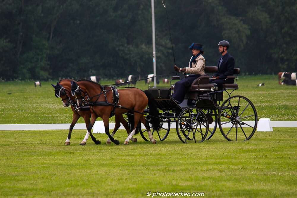 Beesd 2017: impressie