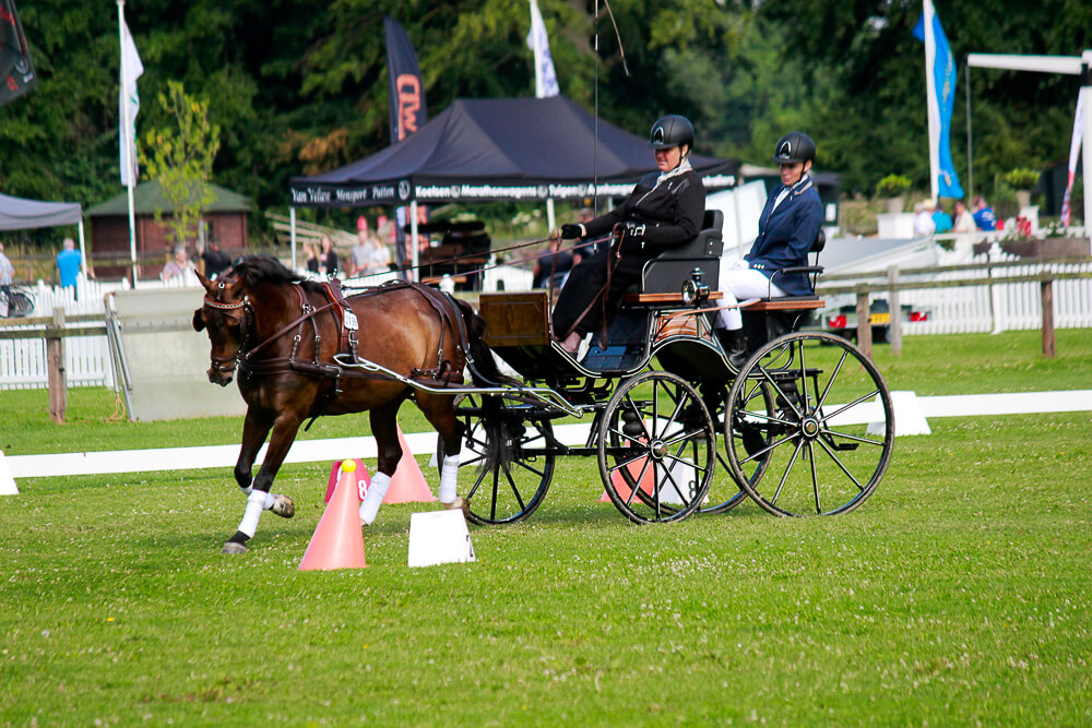 KNHS-Para Men Trophy 2017 voor Francisca den Elzen