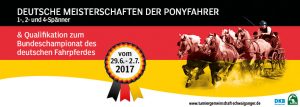 Schwaiganger: Three new German Pony Champions