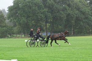 Wierden 2017: Dressage & Cones Friday