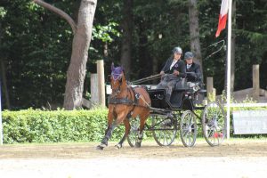 Wierden 2017: Cones & Prize giving ceremony