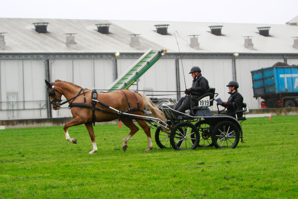 SWM Ysselsteyn 2017: impressie