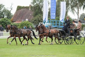 Minden 2017: Dressur Freitag