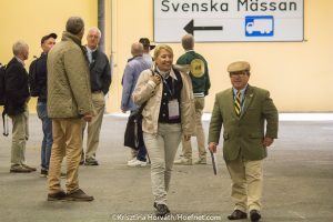 Gothenburg 2017: horse inspection