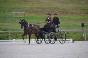 Le Pin 2017: dressage Friday