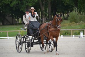 Le Pin: Nederlandse menners goed van start