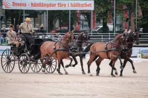 Gothenburg 2017: dressage