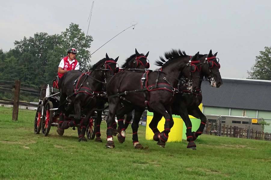 Ptakowice 2017: marathon & vaardigheid