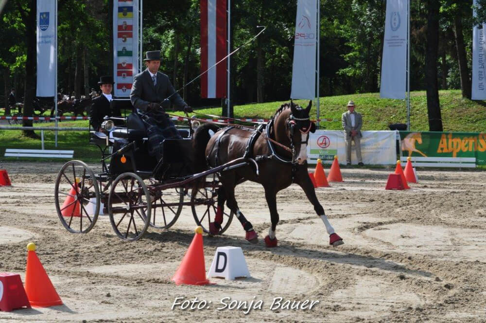 Stadl Paura 2017: vaardigheid